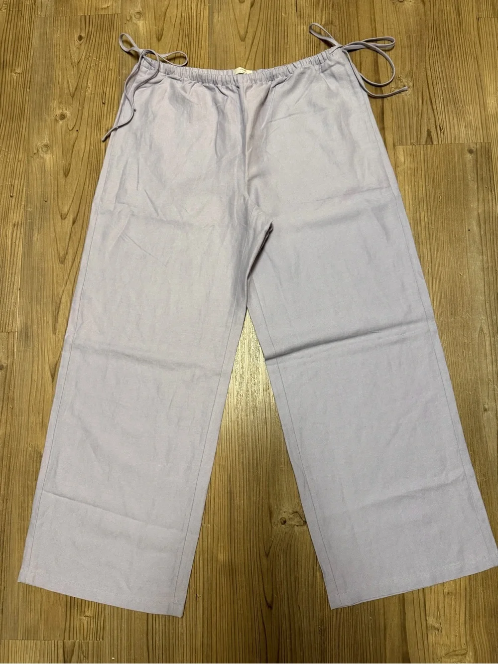 NWT aritzia artisan pants